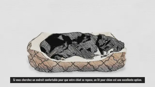 'Video thumbnail for lit pour chien'