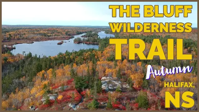 Video thumbnail for Autumn On The Bluff Wilderness Hiking Trail in Halifax, Nova Scotia