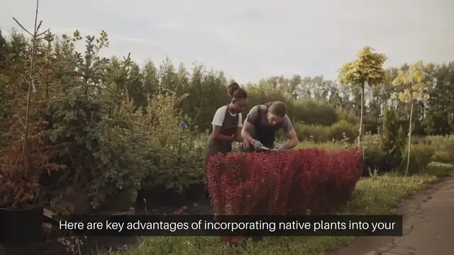 Video thumbnail for Benefits of Gardening with Native Plants