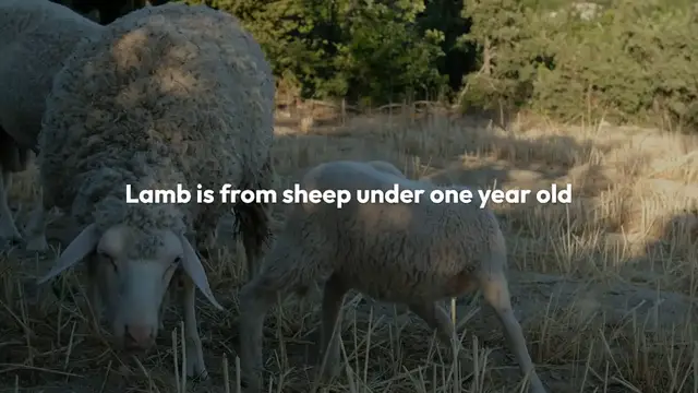 Video thumbnail for Exploring the World of Lamb and Mutton