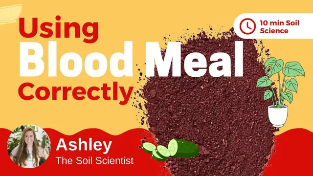 Video thumbnail for What Is Blood Meal Fertilizer? How To Apply Blood Meal To Plants & What Else You Should Add 🌿