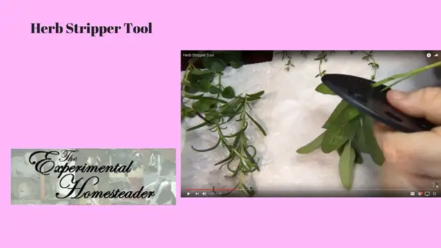 Video thumbnail for Herb Stripper Tool