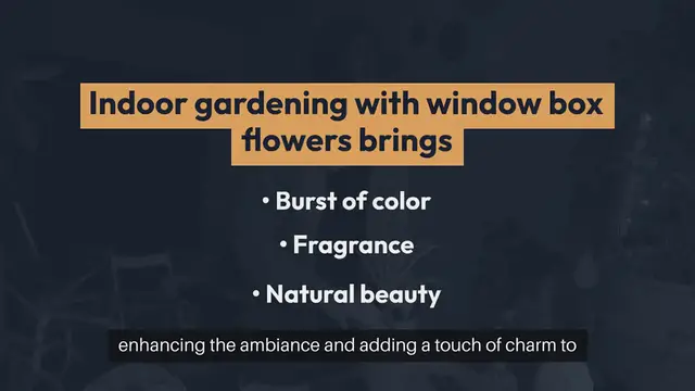Video thumbnail for Indoor Gardening Window Box Flowers
