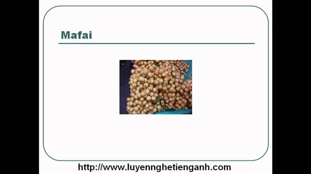 Video thumbnail for Learn English Vocabulary Through Pictures - Topic - Fruits Lesson 02