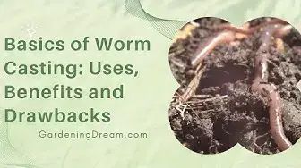 Video thumbnail for Basics of Worm Casting: Uses, Benefits and Drawbacks