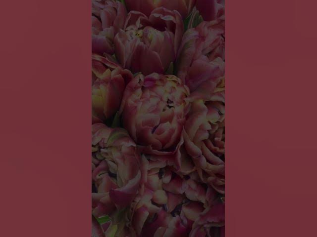 Video thumbnail for What if panic attacks are connected to grief and loss your nervous system never fully processed?