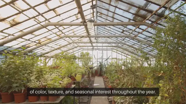 Video thumbnail for Cottage Garden Borders Mixing Annuals and Perennials