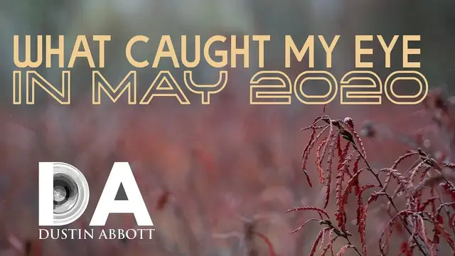 Video thumbnail for What Caught My Eye in May 2020 | 4K