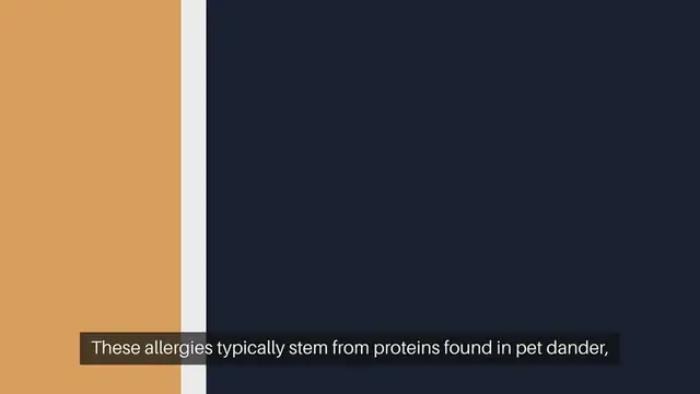 Video thumbnail for Pet Allergy Solutions