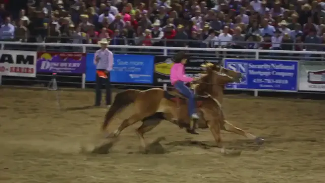 Video thumbnail for What Is 1D, 2D, 3D, And 4D In Barrel Racing?