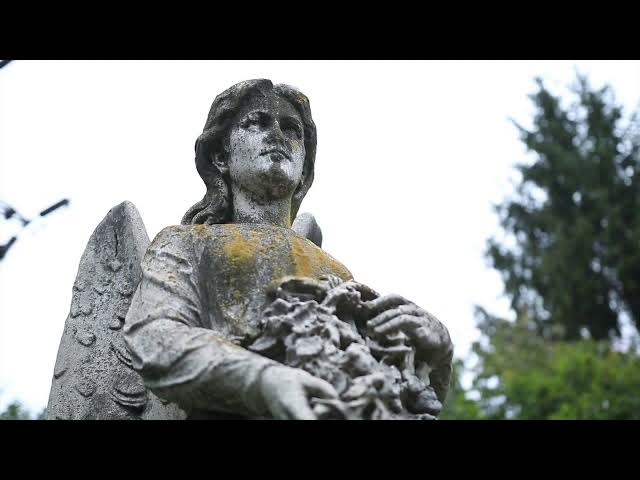 Video thumbnail for The True Intention of Love - Vignettes with Mystic, Marilynn Hughes, Out of Body Travel