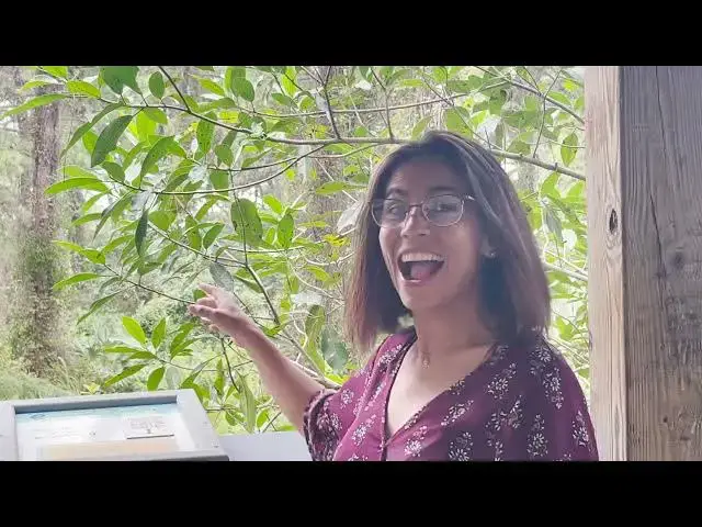 Video thumbnail for TALL CYPRESS