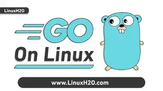 'Video thumbnail for Setup GO language on Linux (Ubuntu, CentOS, Debian, Arch)'