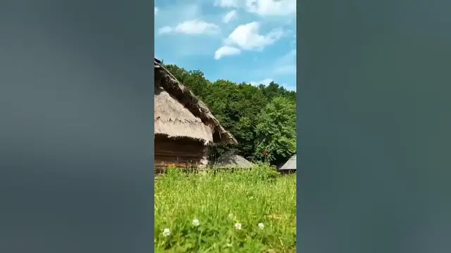 Video thumbnail for #shortvideo #arshadmilton