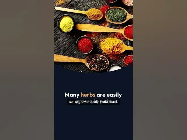 Video thumbnail for Easy Pot Vegetable Gardening Guide 2 #pottedgarden  #beginnergardeners #gardening #greenthumb