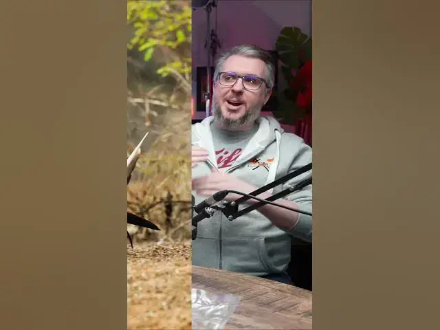 Video thumbnail for Discover the Weirdest Birds  From Kingfishers to Boobies and Tits!