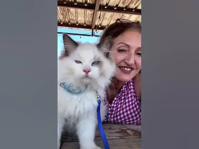 Video thumbnail for Ari getting used to the world around him. #tinypawsbigadventures