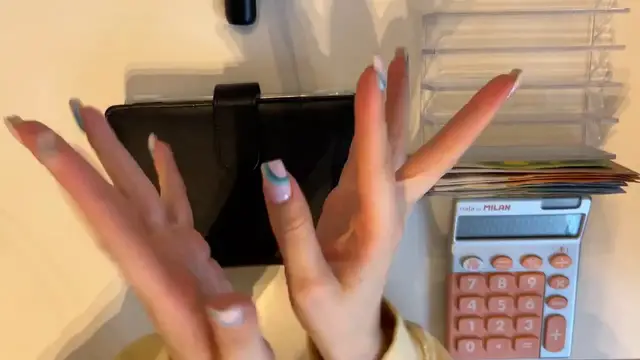 Video thumbnail for Cash stuffing 750 EUR Euro budgeter cash envelopes sinking funds budgetwithjane