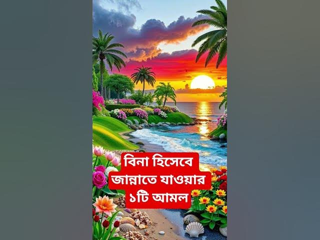 Video thumbnail for বিনা হিসেবে জান্নাতে যাওয়ার ১টি আমল#shorts #viral#sheikh_ahmadullah#islamicalortips