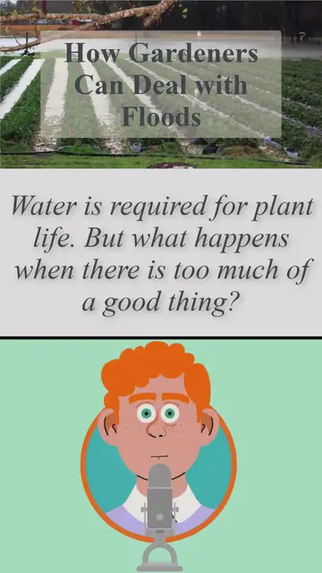 'Video thumbnail for How Gardeners Can Deal with Floods'