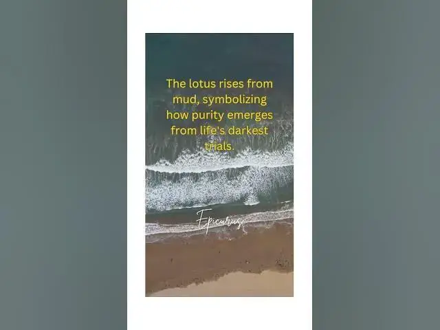 Video thumbnail for "Rising Like the Lotus 🌸" #shorts