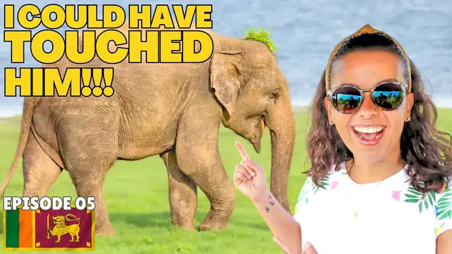 Video thumbnail for EP 05: AMAZING SAFARI IN SRI LANKA! 🇱🇰 BETTER THAN YALA NATIONAL PARK???