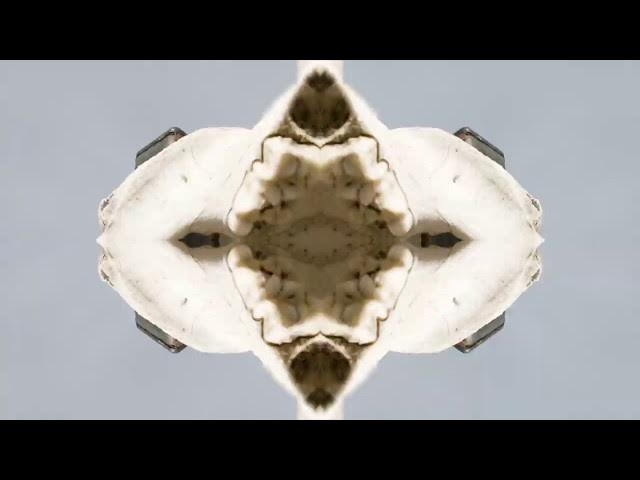 Video thumbnail for Self Delusion and Mystical Training - Vignettes with Mystic, Marilynn Hughes,  Out of Body Travel