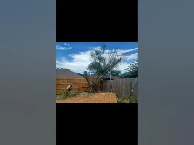 Video thumbnail for stihl the one