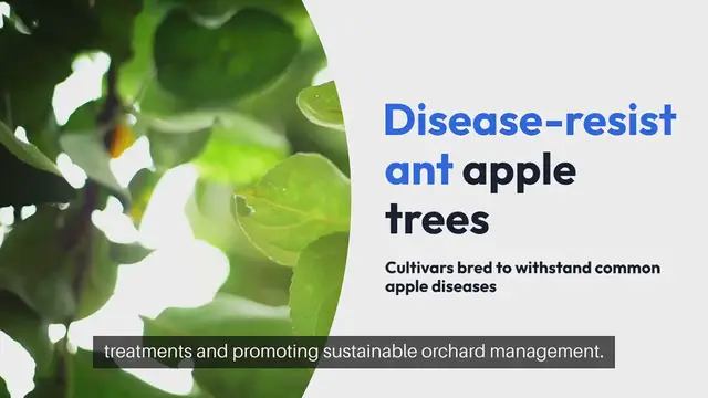 Video thumbnail for Disease Resistant Apple Trees