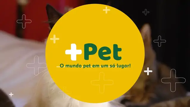 'Video thumbnail for COMO ENSINAR MEU PET A FAZER XIXI NO LUGAR CERTO?'