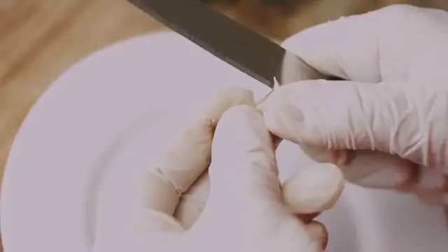 Video thumbnail for The Power of Herbs and Spices in Cooking