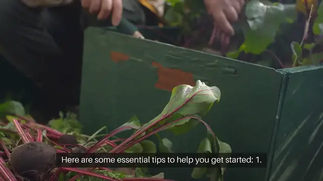 Video thumbnail for Tips for Starting a Permaculture Garden