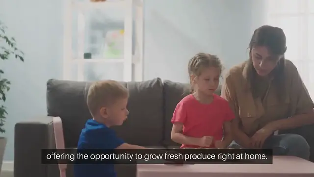 Video thumbnail for Patio Garden Vegetables Beginners