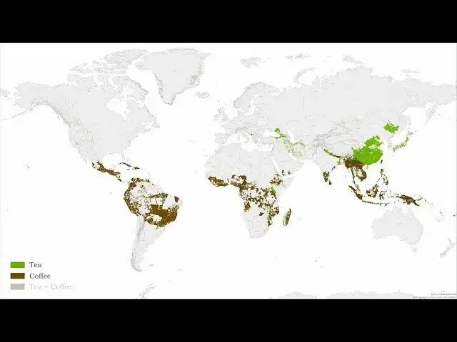 'Video thumbnail for Tea vs Coffee: How Two Drinks Divided the Entire World'