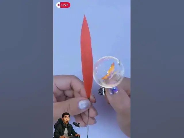 Video thumbnail for 🧸🗂️ Anak Akan Bangga Bisa Bikin Ini Sendiri Tanpa Bantuan!