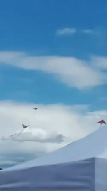 Video thumbnail for Paris kites taking over Ontario (Jun. 20, 2026)