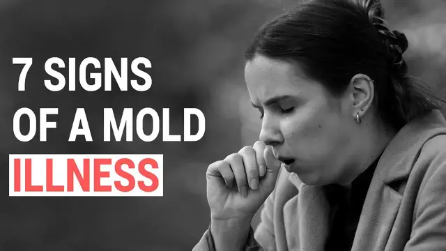 'Video thumbnail for 7 Signs of A Mold Illness'