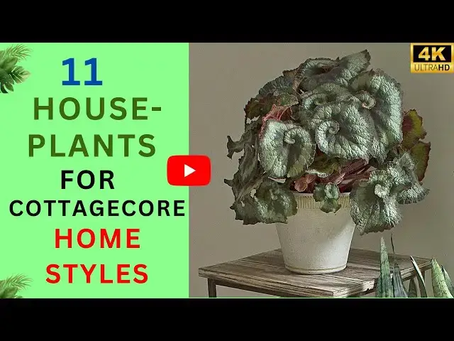 'Video thumbnail for 11 Houseplants for Cottagecore Home Styles | Recommendations for Cottagecore Houseplants'
