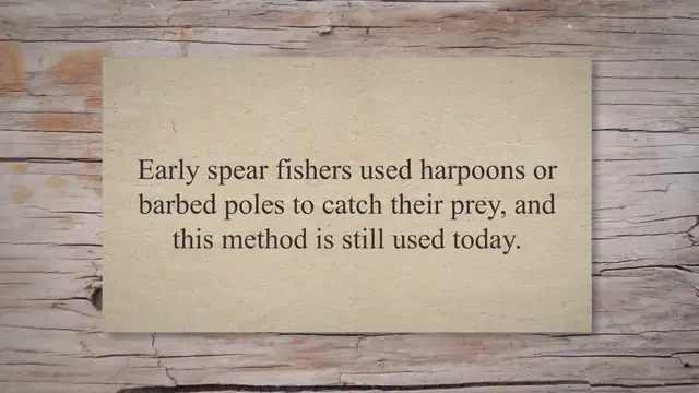 Video thumbnail for Speargun – Diver’s Buying Guide: Everything You Need to Know