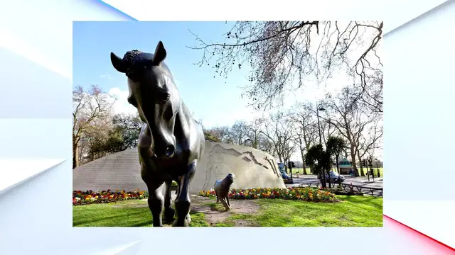 'Video thumbnail for WATCH: Angela Rippon honours animals who ‘saved lives’ in war at Hyde Park memorial'