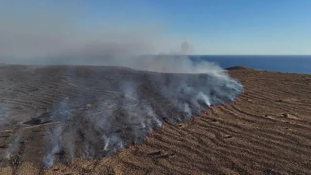 Video thumbnail for Türkiye: Wildfires Spread Across Turkey Izmir 8.