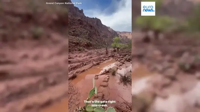 Video thumbnail for Body of 46-year-old man recovered after Grand Canyon flash flood, park service says
