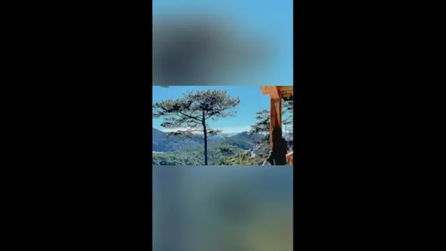 Video thumbnail for Top 5 quán cà phê đáng checkin tại đà lạt