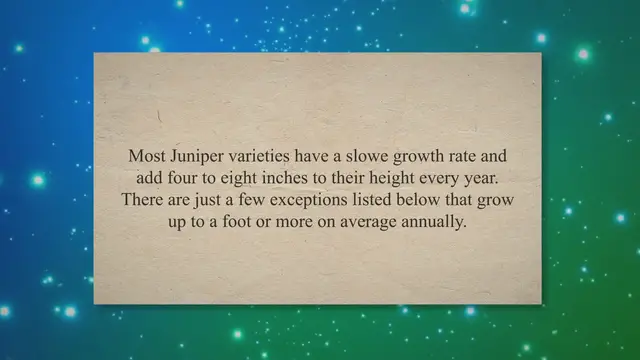 Video thumbnail for How Fast Do Junipers Grow?