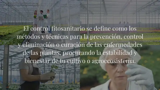 Video thumbnail for Métodos y técnicas de control fitosanitario para los cultivos