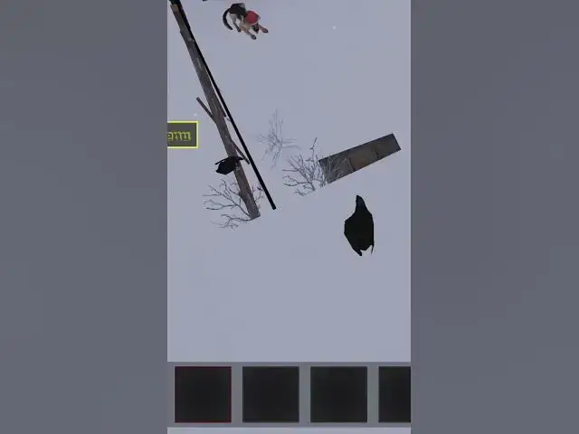 Video thumbnail for What is the name