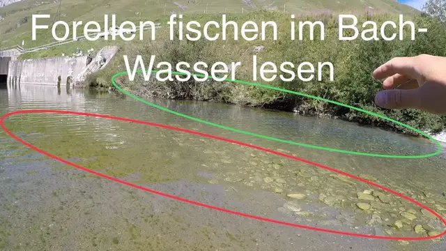 'Video thumbnail for Forellen finden im Fliessgewässer, das Wasser lesen'