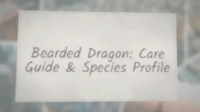 Video thumbnail for Bearded Dragon: Care Guide & Species Profile