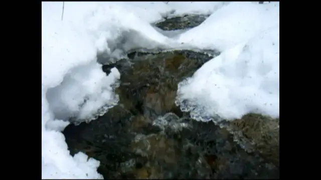 Video thumbnail for Blue Mountain Winter Hike