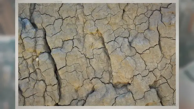 Video thumbnail for Do Fossils Have Cells?